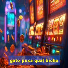 gato puxa qual bicho